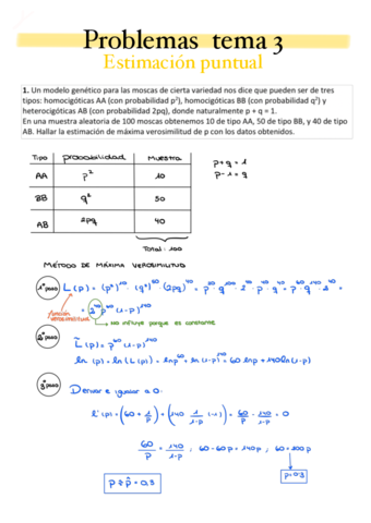 PROBLEMAS-3.pdf