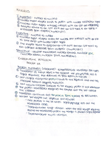 Documentos-escaneados.pdf