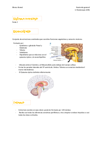 Sistema-nervioso--parte-dos.pdf