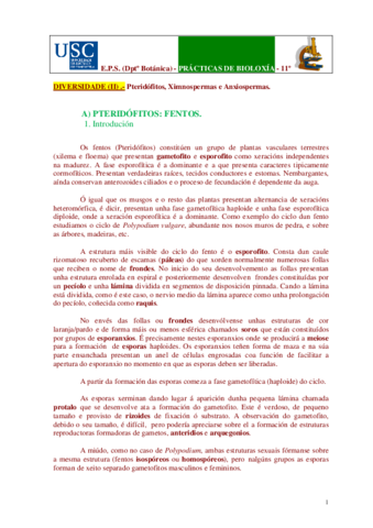 practica-de-pteridofitos.pdf