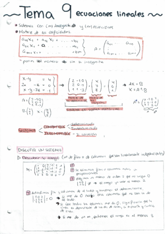 Mates2o-T9-ecuaciones-lineales.pdf