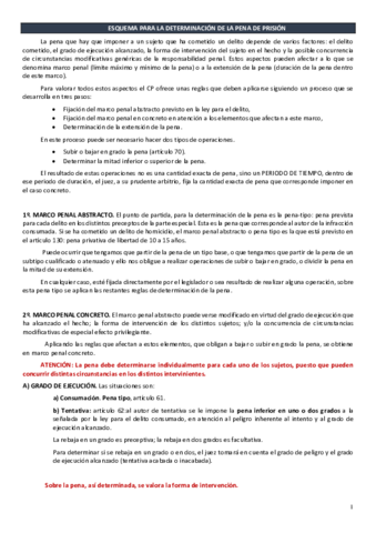 Esquema-para-la-determinacion-de-la-pena.pdf