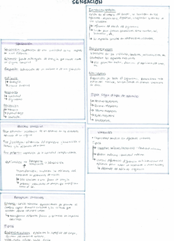 Filo1o-sensacion.pdf