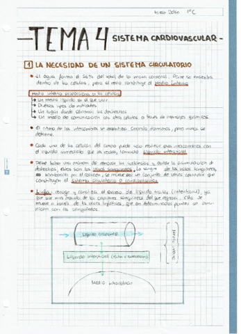 Anatomia1o-T4.pdf