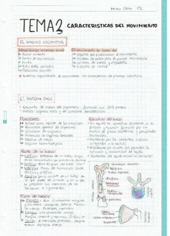 Anatomia1o-T3.pdf