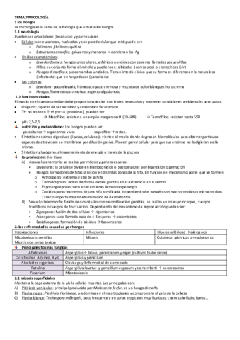 TEMA-7-MICOLOGIA.pdf