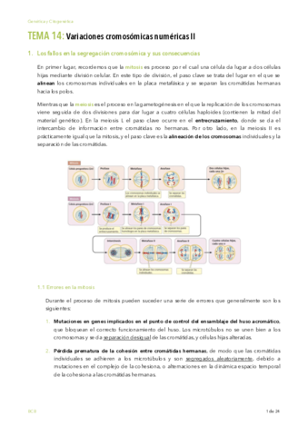T14-pdf.pdf