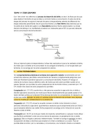 TEMA-17.pdf