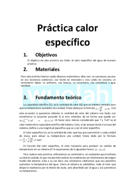 Práctica calor específico1.pdf