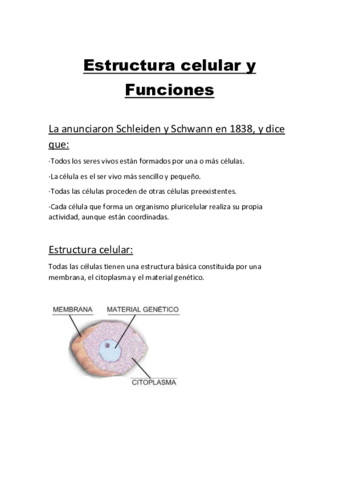 Resumen-Bio-T.pdf