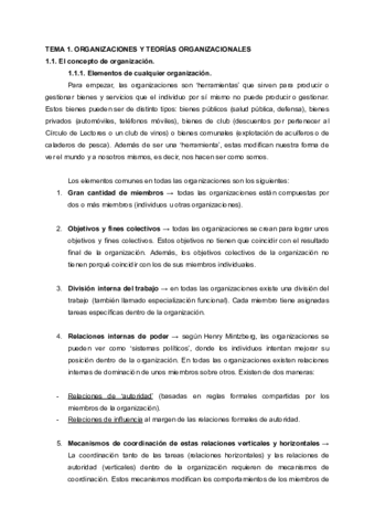RESUMEN-TEMA-1-TEORIA-DE-LAS-ORGANIZACIONES.pdf