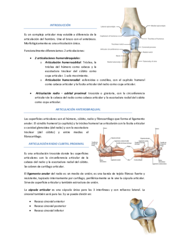 Tema-11-Articulaciones-Codo.pdf