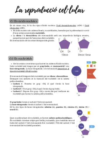 pdf202211251610340000.pdf