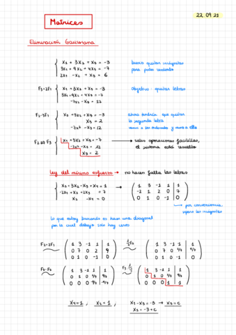 AL-Matrices-y-determinantes.pdf