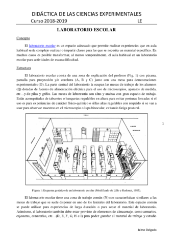 LABORATORIO-ESCOLAR-18-19.pdf