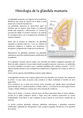 Histologia-de-la-glandula-mamaria-.pdf