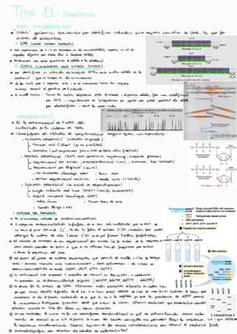 Tema-12BMol.pdf