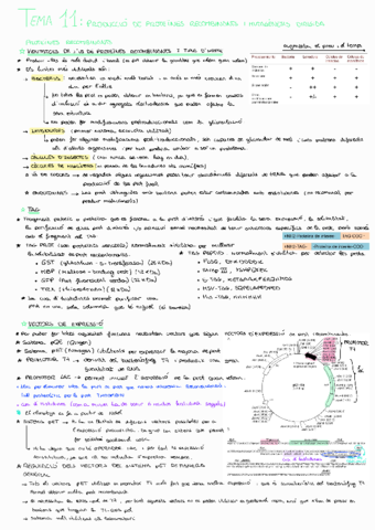 Tema-11BMol.pdf