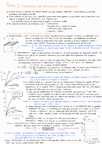 Cinetica-Tema-2TC.pdf