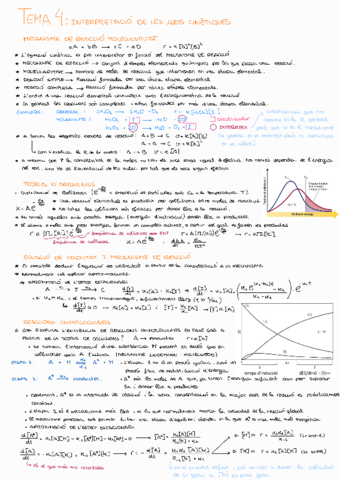 Cinetica-Tema-4TC.pdf