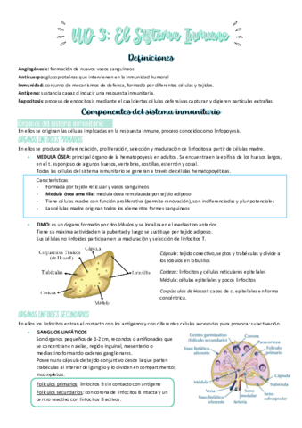 UD-3-FG.pdf