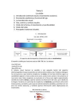 Tema-5-Neuro.pdf