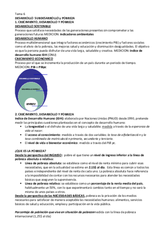 Tema-6-ECONOMIA-MUNDIAL.pdf