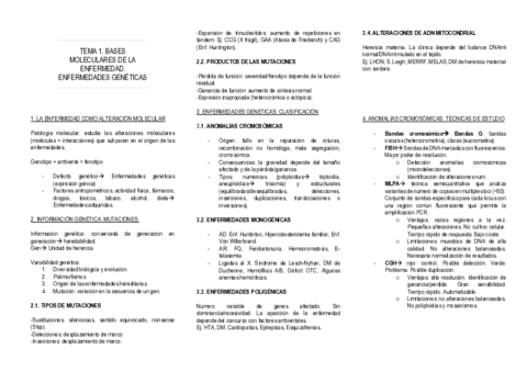ESQUEMA-TEMAS.pdf