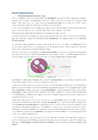 Tema7.pdf