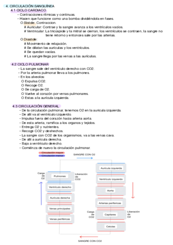 ESQUEMA-TEMA-10-PARTE-4-PROCESOS.pdf