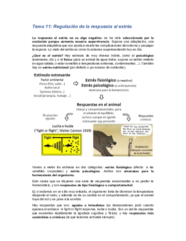 tema11-endocrino.pdf