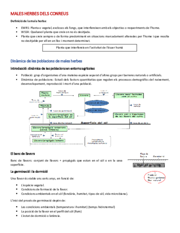 MALES-HERBES-APUNTS.pdf