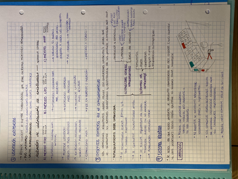 Atención al paciente tema 3