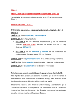 RESUMEN TEMA 1. REGULACIÓN DE LOS DERECHOS FUNDAMENTALES EN LA CE.pdf