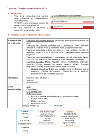 Tema-29.pdf