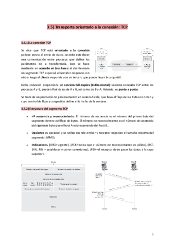 Extra-Protocolo-TCP.pdf