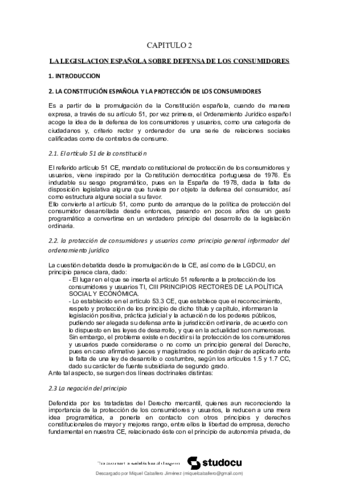 Apuntes COMPLETOS Derecho del Consumo.pdf
