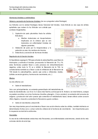 TEMA-25.pdf