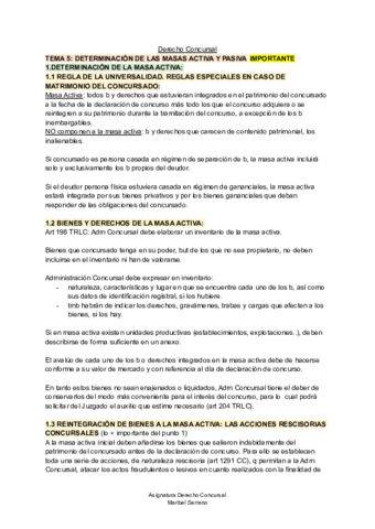 TEMA-5-D-Concursal.pdf