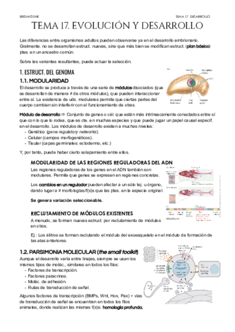 Tema-17-Evolucion-y-Desarrollo.pdf