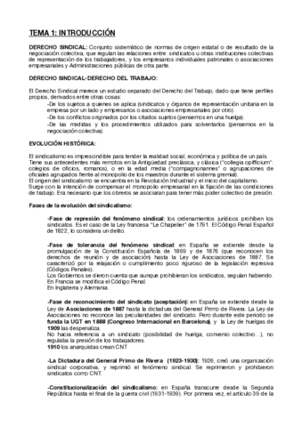 DERECHO-SINDICAL-completo.pdf