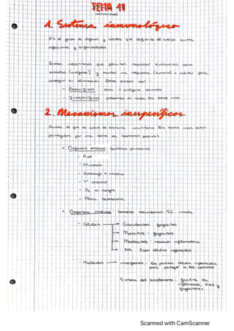 temas-13-y-14-traduccion-y-transcripcion.pdf