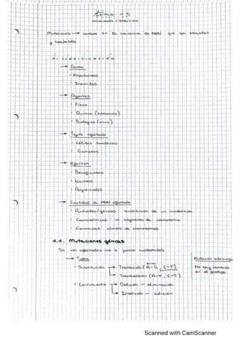 tema-18-inmunologia.pdf