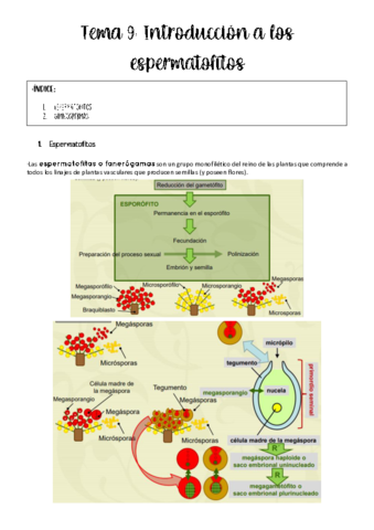 Tema-9-botanica-.pdf