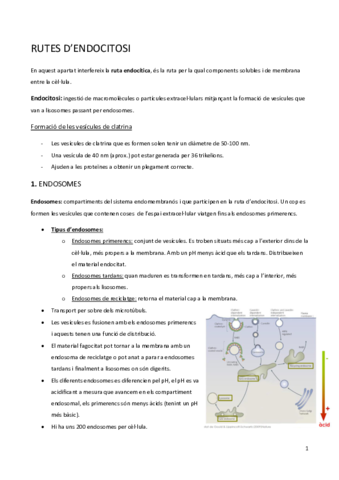 8-rutes.pdf
