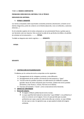 TEMA-14.pdf