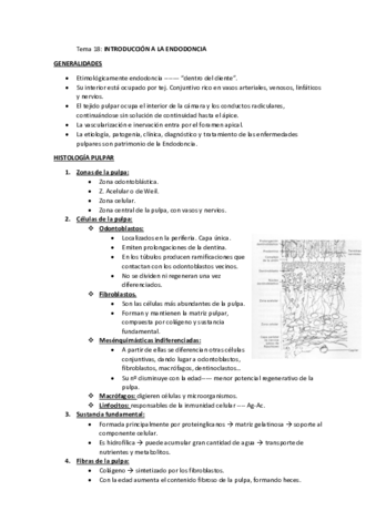 Tema-18.pdf