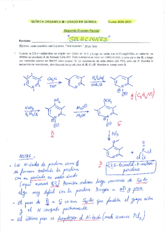 SOLUCIONESSegundo-Parcial-1-1.pdf