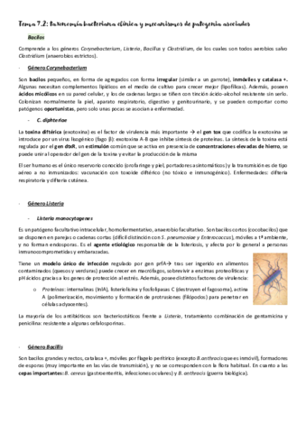 Micromed-T7-desde-primer-parcial.pdf