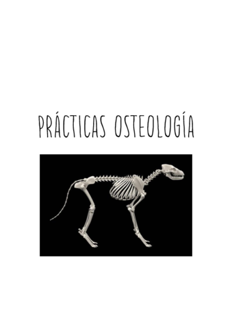 Practicas-osteología.pdf